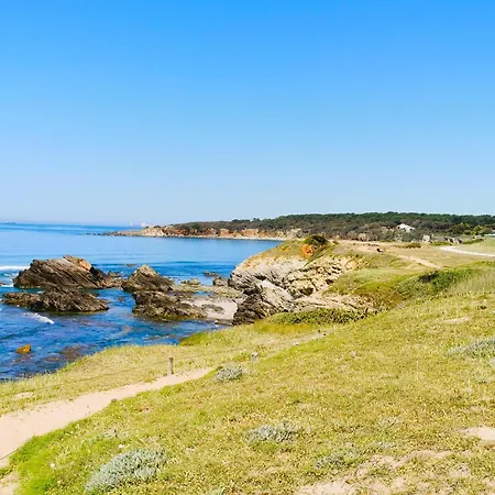 La Lezardiere A Deux Pas Des Quais *